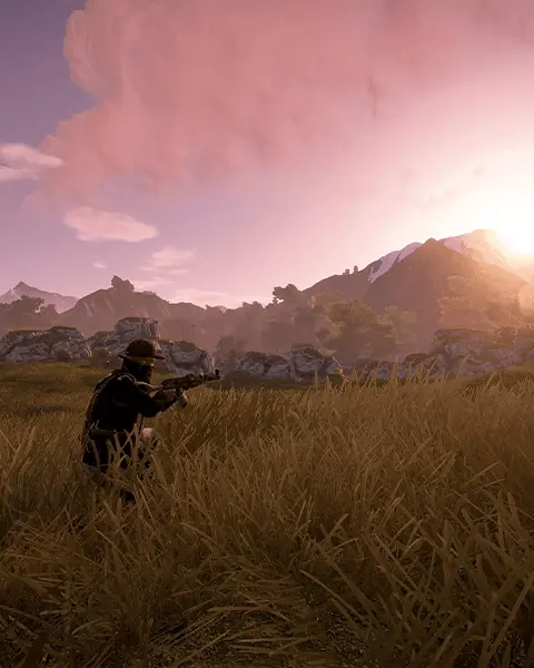 Rust Server