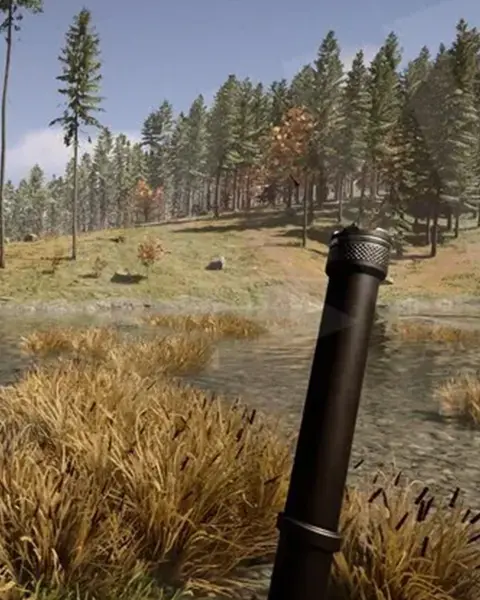 Sons of the Forest Server
