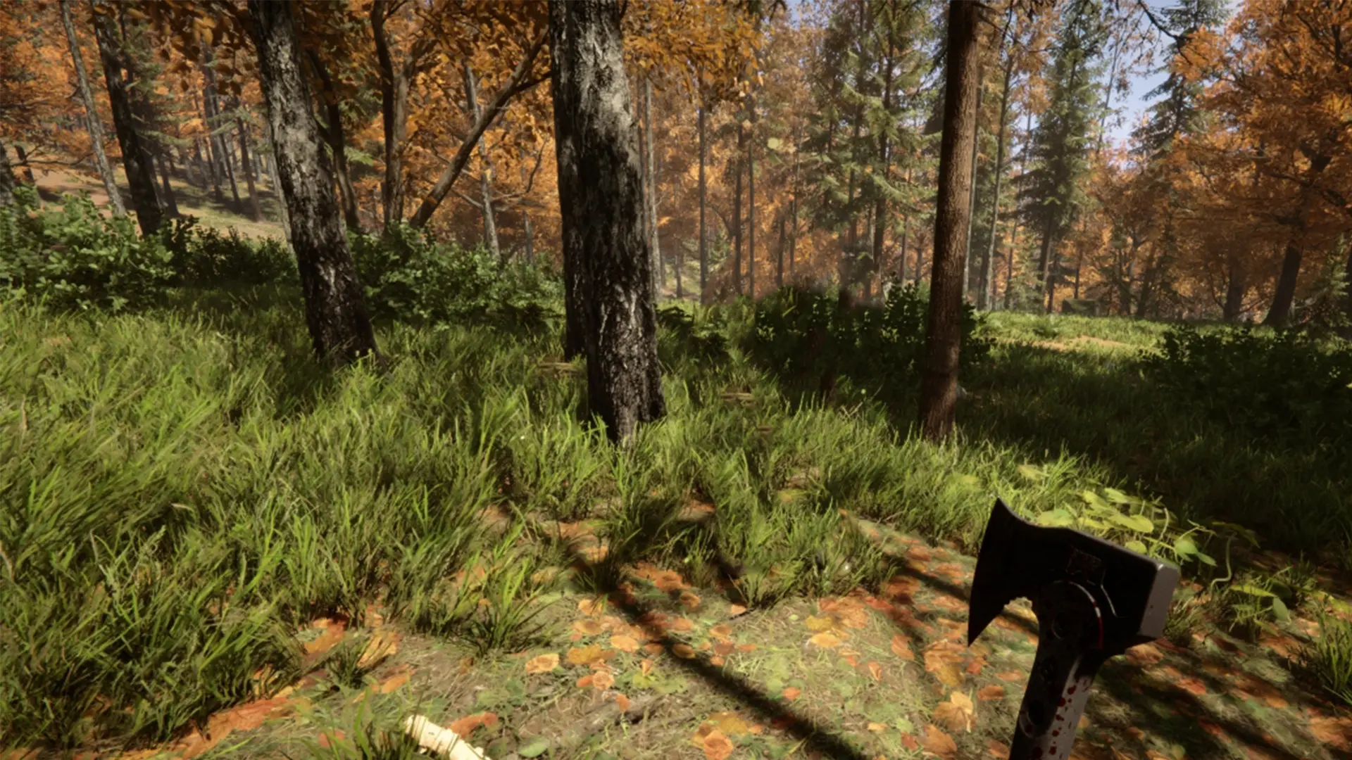 Sons of the Forest Server Background