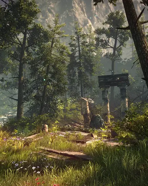 The Forest Server